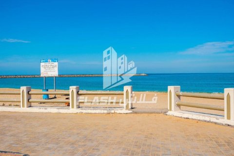 Жер телімі Al Mairid, Рас-эль-Хайма, БАӘ-да 450 м² № 656436 - фото 12