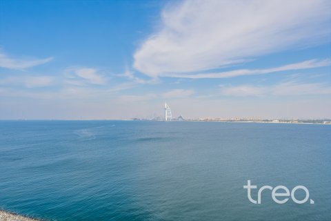 Müüa korter asukohaga Palm Jumeirah, Dubai, AÜE: 4 magamistoaga, 445.19 m² Nr 733023 - pilt 11