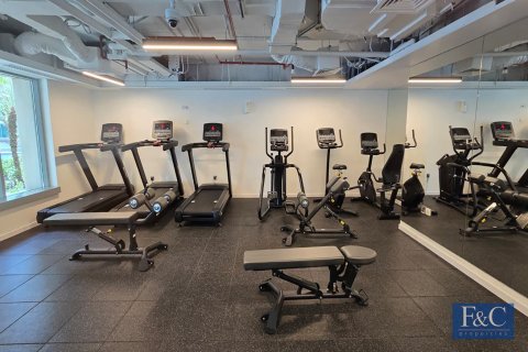 阿联酋 Dubai Downtown Dubai (Downtown Burj Dubai) 待租 : 2 卧, 138 平方米 , 编号704757 - 照片 21