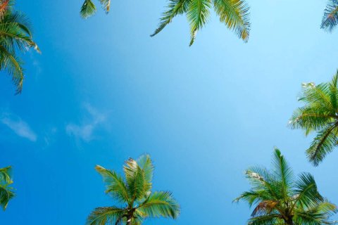 Rumah bandar di The World Islands, Dubai, UAE 4 bilik tidur, 204 meter persegi № 693541 - foto 16