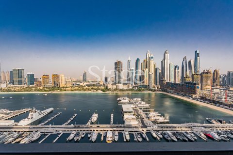 شقة للبيع في Dubai Harbour، دبي، الإمارات العربية المتحدة 4 غرفة نوم ، 226 متر مربع ، رقم 737391 - صورة 2