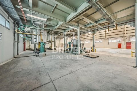 阿联酋 Dubai Jebel Ali 待售 : 3251.61 平方米 , 编号747064 - 照片 29