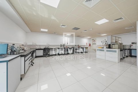 阿联酋 Dubai Jebel Ali 待售 : 3251.61 平方米 , 编号747064 - 照片 4