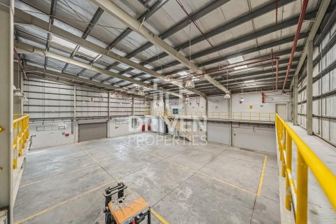 阿联酋 Dubai Jebel Ali 待售 : 3251.61 平方米 , 编号747064 - 照片 16