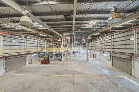 阿联酋 Dubai Jebel Ali 待售 : 3251.61 平方米 , 编号747064 - 照片 23