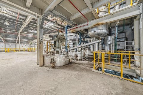 阿联酋 Dubai Jebel Ali 待售 : 3251.61 平方米 , 编号747064 - 照片 17