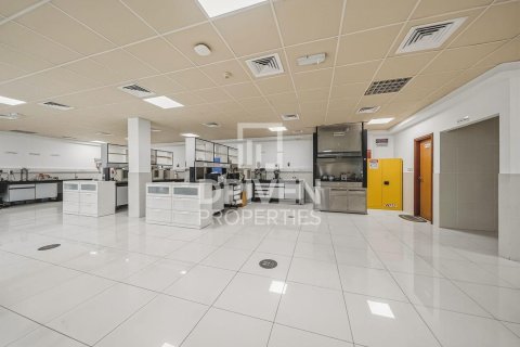 阿联酋 Dubai Jebel Ali 待售 : 3251.61 平方米 , 编号747064 - 照片 3