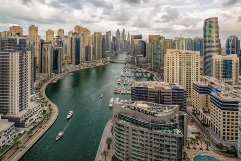بناية للبيع في مرسى دبي، دبي، الإمارات العربية المتحدة 22296.73 متر مربع ، رقم 758042 - صورة 5