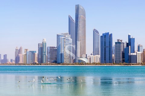 Yas Island, Abu Dhabi, संयुक्त अरब अमीरात में अपार्टमेंट, 1 बेडरूम, 75 वर्ग मीटर, संख्या 716391 - फ़ोटो 6