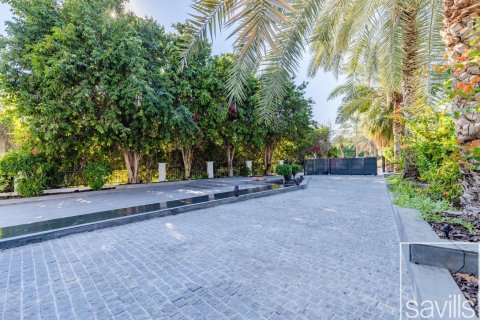阿联酋 Dubai Jumeirah Islands 待租 : 6 卧, 816.99 平方米 , 编号753532 - 照片 26