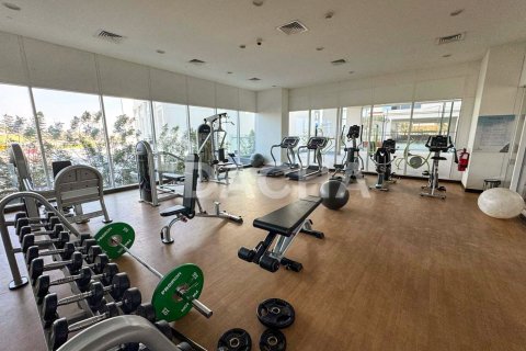 Mohammed Bin Rashid City, Dubai, UAE의 판매용 아파트 침실 2개, 118제곱미터 번호 706747 - 사진 26