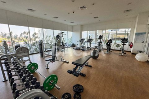 Appartamento in vendita a Mohammed Bin Rashid City, Dubai, EAU 2 camere da letto, 115 mq. № 706751 - foto 13