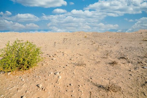 Land zum Verkauf in Al Reem Island, Abu Dhabi, VAE 2392 m2 Nr. 595045 - Foto 8